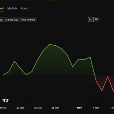 Dlaczego XRP spada pomimo udanej premiery ETF na XRP?